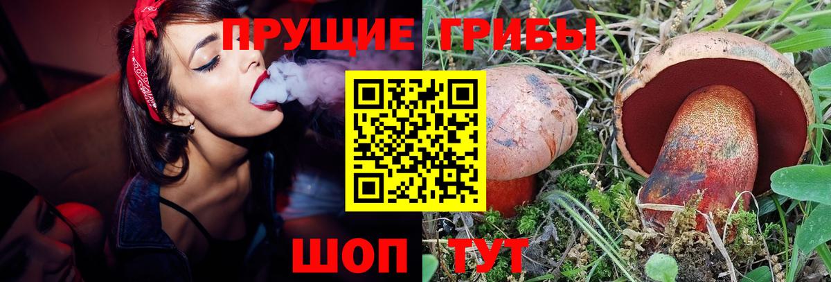 Ливны  Псилоцибиновые грибы Magic Shrooms  Псилоцибиновые грибы прущие грибы  хочу наркоту  Вход с VPN 